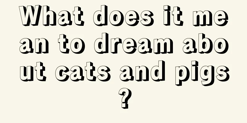 What does it mean to dream about cats and pigs?