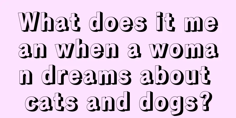 What does it mean when a woman dreams about cats and dogs?