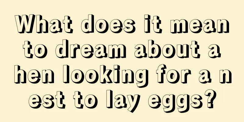 What does it mean to dream about a hen looking for a nest to lay eggs?