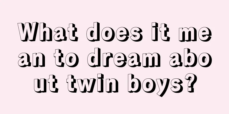 What does it mean to dream about twin boys?