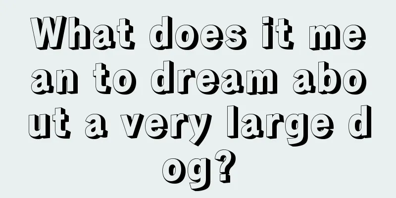 What does it mean to dream about a very large dog?