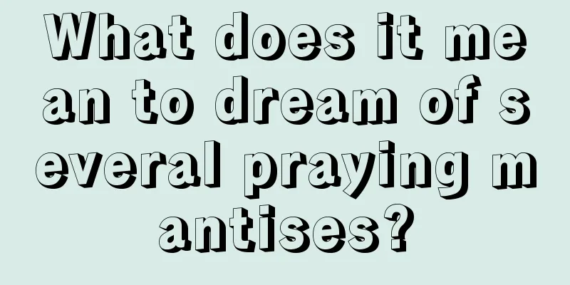 What does it mean to dream of several praying mantises?