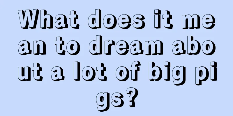 What does it mean to dream about a lot of big pigs?