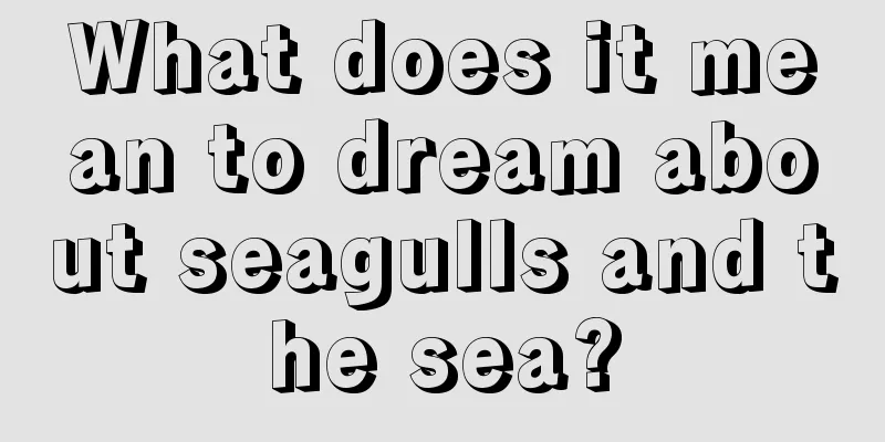 What does it mean to dream about seagulls and the sea?