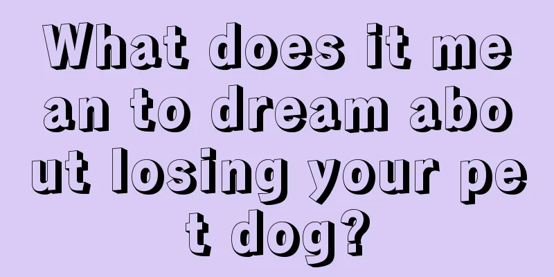 What does it mean to dream about losing your pet dog?