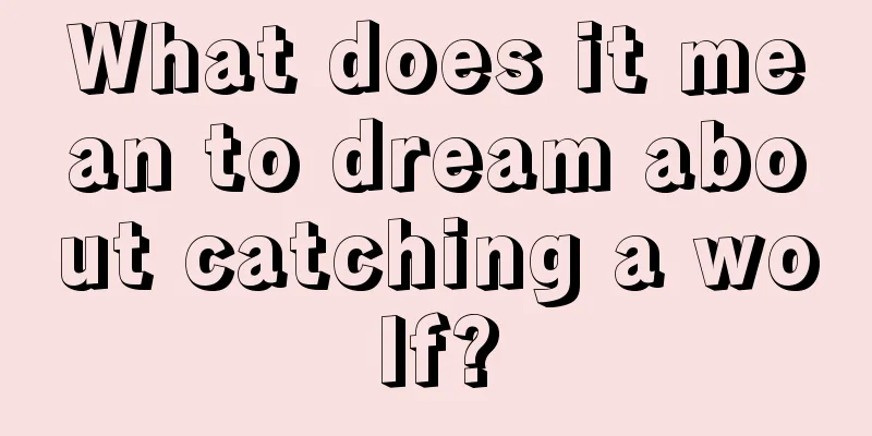 What does it mean to dream about catching a wolf?