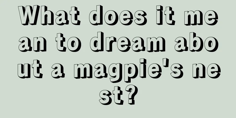 What does it mean to dream about a magpie's nest?