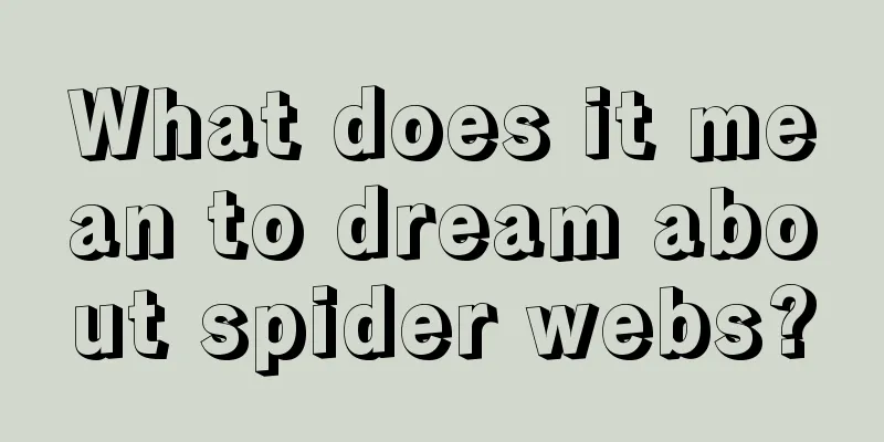 What does it mean to dream about spider webs?