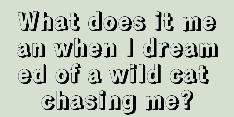 What does it mean when I dreamed of a wild cat chasing me?