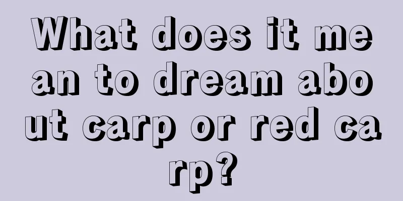 What does it mean to dream about carp or red carp?