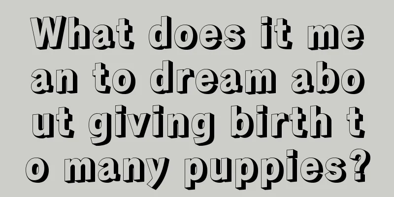 What does it mean to dream about giving birth to many puppies?