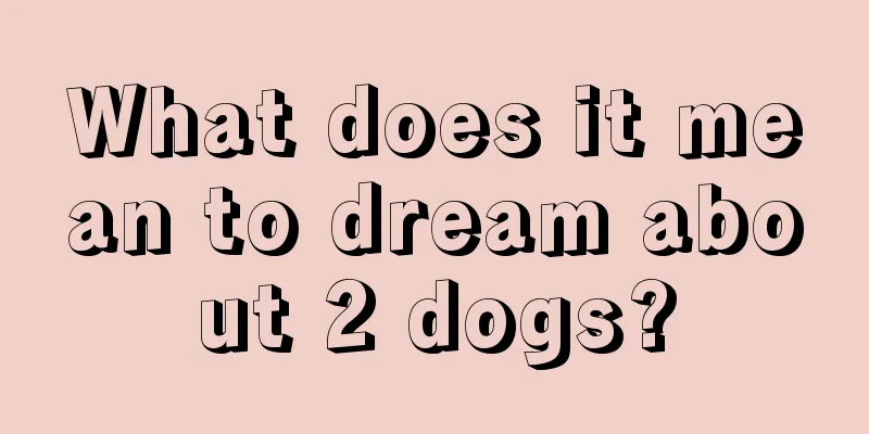 What does it mean to dream about 2 dogs?