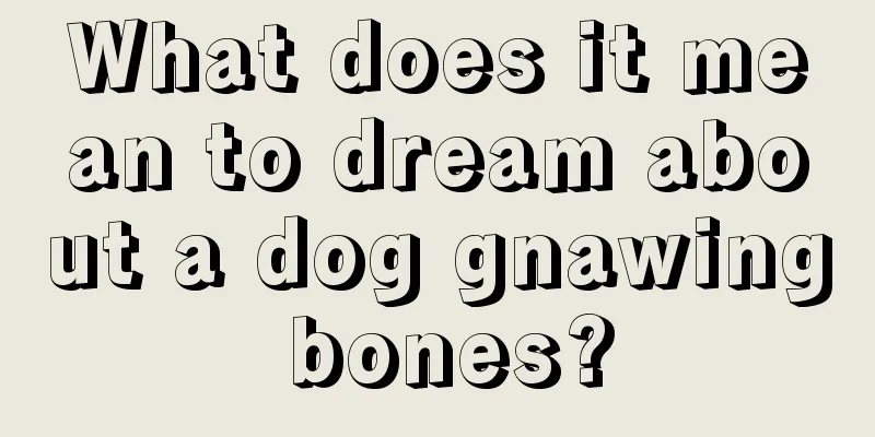 What does it mean to dream about a dog gnawing bones?