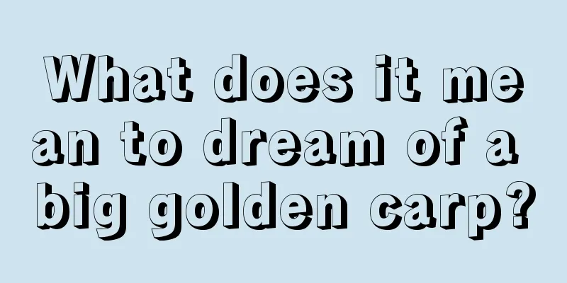 What does it mean to dream of a big golden carp?