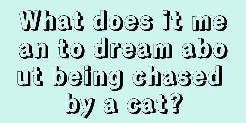 What does it mean to dream about being chased by a cat?