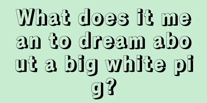 What does it mean to dream about a big white pig?