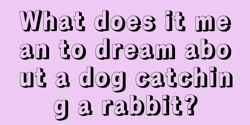 What does it mean to dream about a dog catching a rabbit?