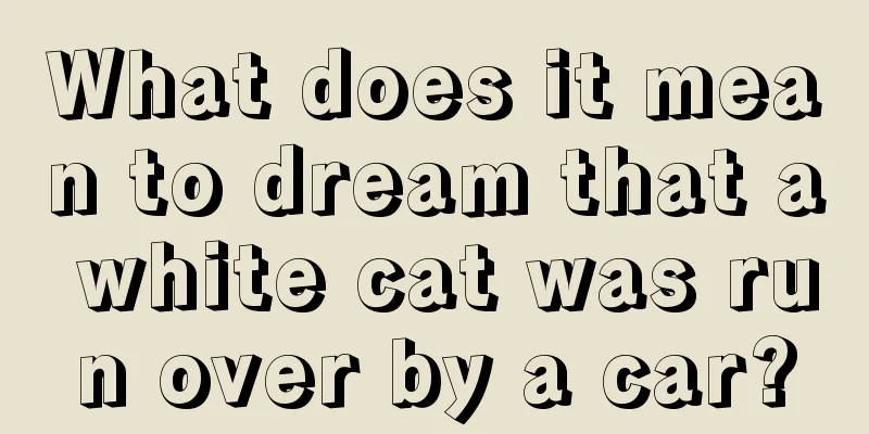 What does it mean to dream that a white cat was run over by a car?