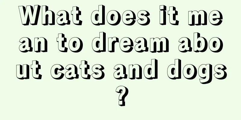 What does it mean to dream about cats and dogs?