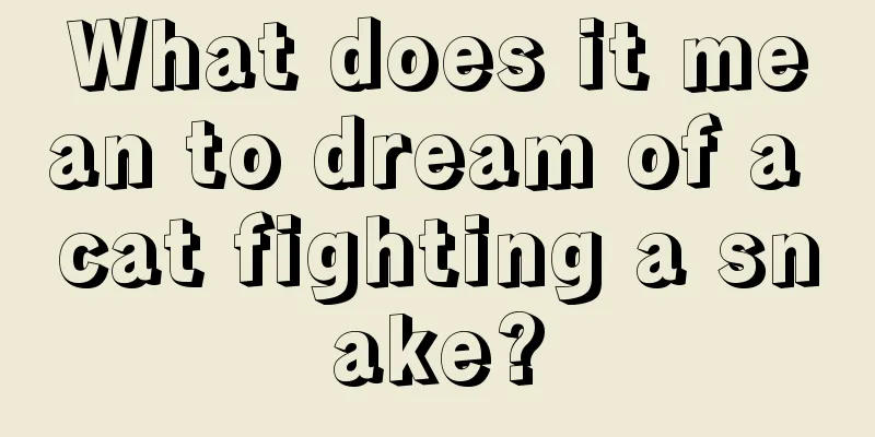 What does it mean to dream of a cat fighting a snake?