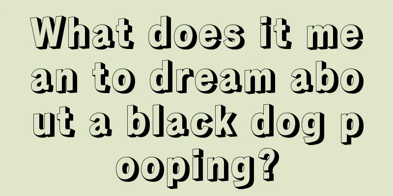 What does it mean to dream about a black dog pooping?