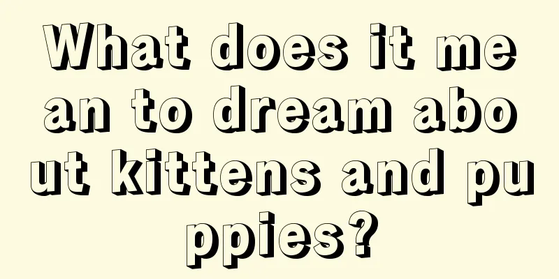 What does it mean to dream about kittens and puppies?