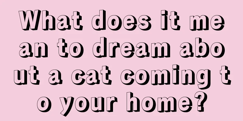 What does it mean to dream about a cat coming to your home?