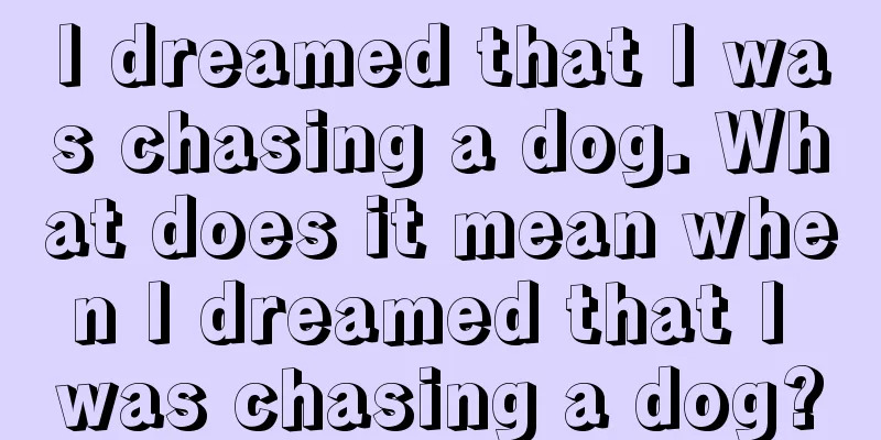 I dreamed that I was chasing a dog. What does it mean when I dreamed that I was chasing a dog?