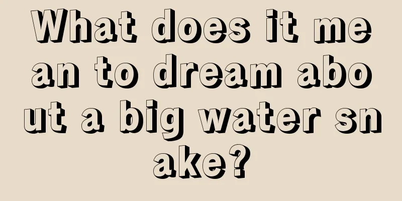 What does it mean to dream about a big water snake?