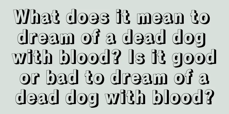 What does it mean to dream of a dead dog with blood? Is it good or bad to dream of a dead dog with blood?