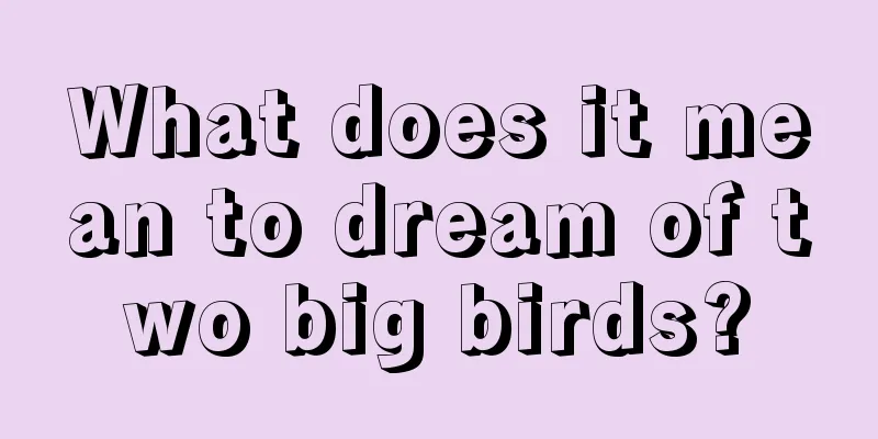 What does it mean to dream of two big birds?