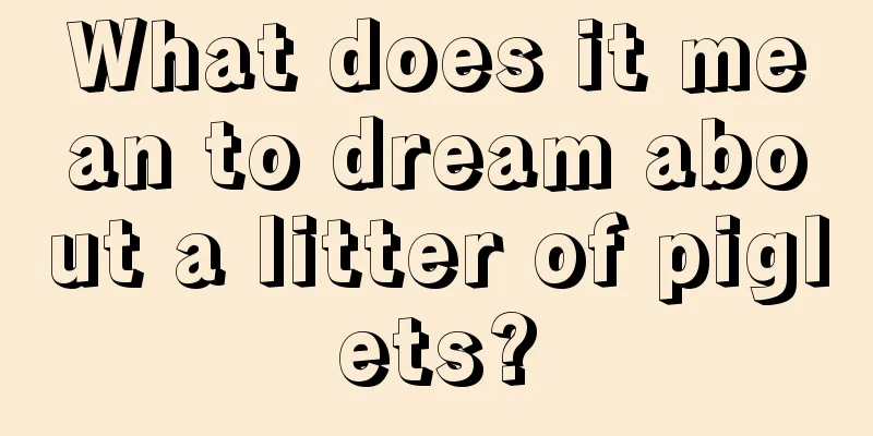 What does it mean to dream about a litter of piglets?