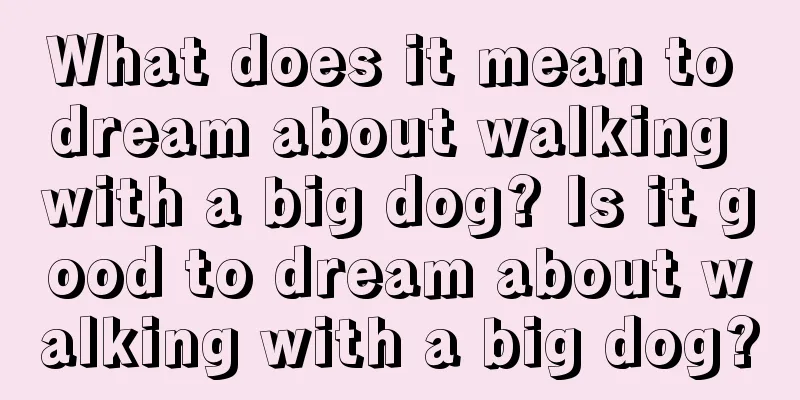 What does it mean to dream about walking with a big dog? Is it good to dream about walking with a big dog?