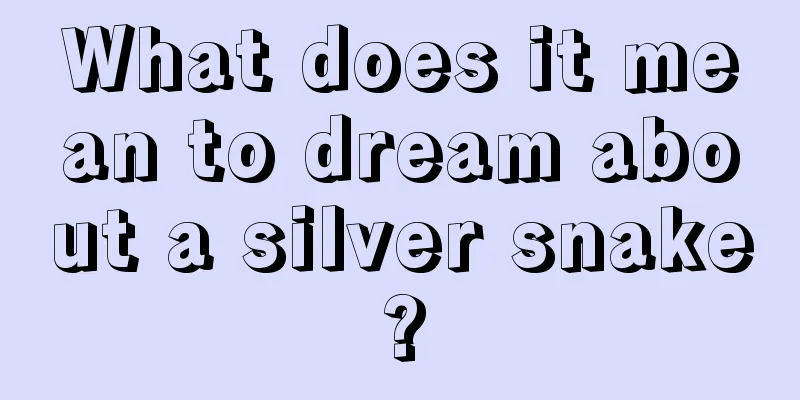 What does it mean to dream about a silver snake?