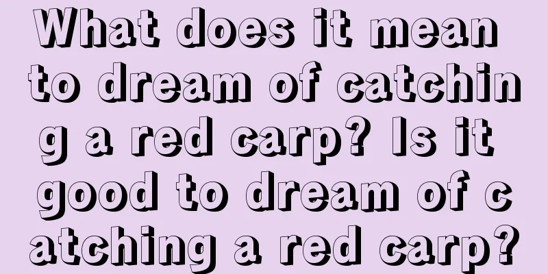 What does it mean to dream of catching a red carp? Is it good to dream of catching a red carp?