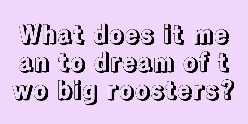 What does it mean to dream of two big roosters?