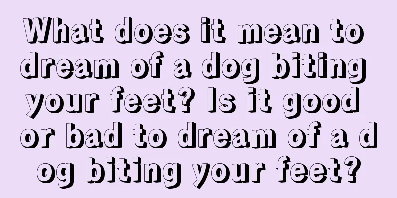 What does it mean to dream of a dog biting your feet? Is it good or bad to dream of a dog biting your feet?