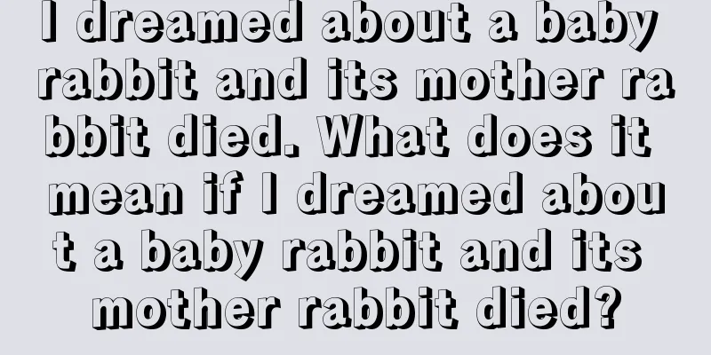 I dreamed about a baby rabbit and its mother rabbit died. What does it mean if I dreamed about a baby rabbit and its mother rabbit died?