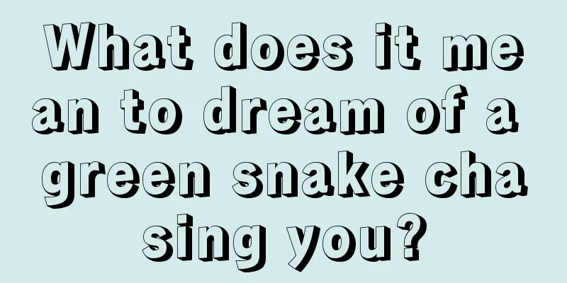 What does it mean to dream of a green snake chasing you?