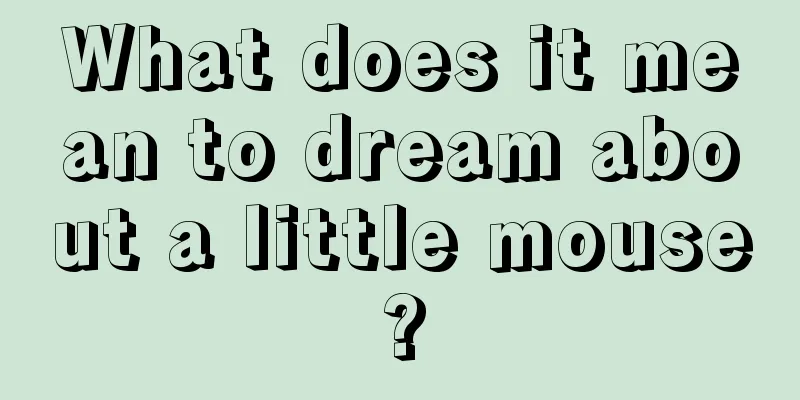 What does it mean to dream about a little mouse?