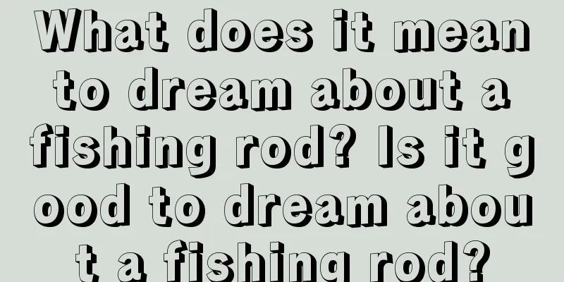 What does it mean to dream about a fishing rod? Is it good to dream about a fishing rod?