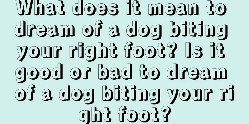 What does it mean to dream of a dog biting your right foot? Is it good or bad to dream of a dog biting your right foot?