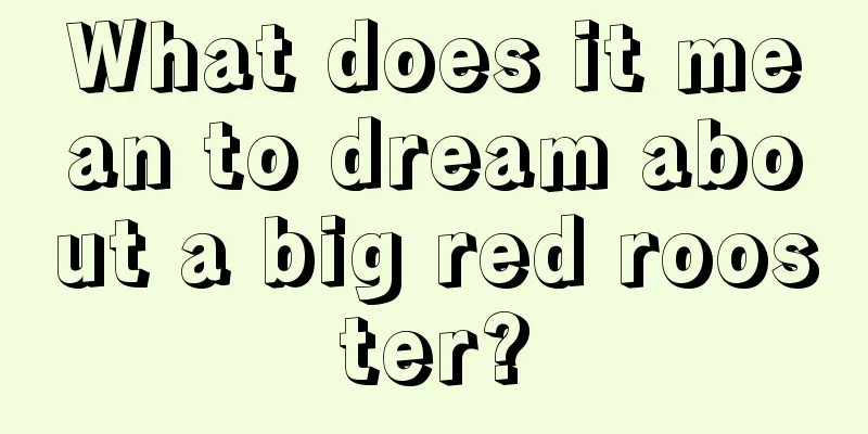 What does it mean to dream about a big red rooster?