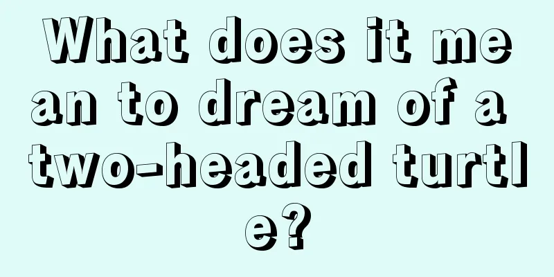 What does it mean to dream of a two-headed turtle?