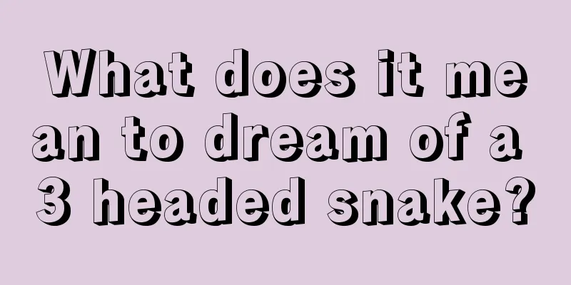 What does it mean to dream of a 3 headed snake?