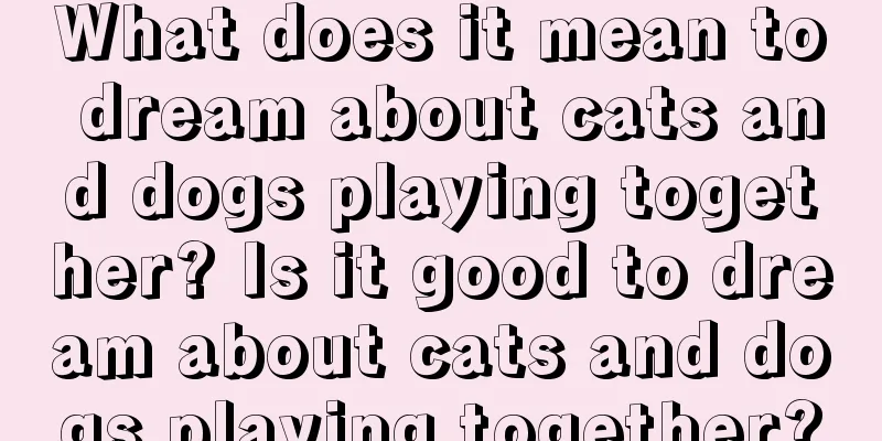 What does it mean to dream about cats and dogs playing together? Is it good to dream about cats and dogs playing together?