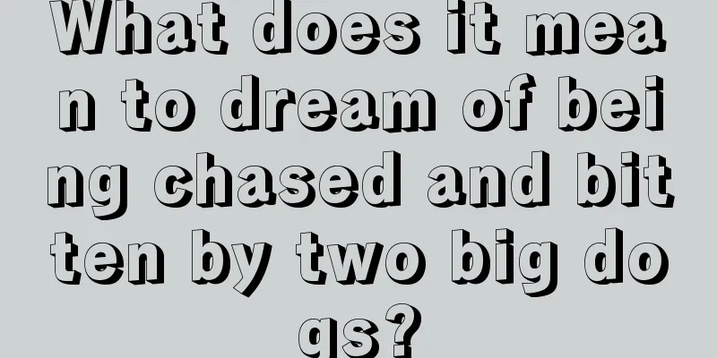 What does it mean to dream of being chased and bitten by two big dogs?