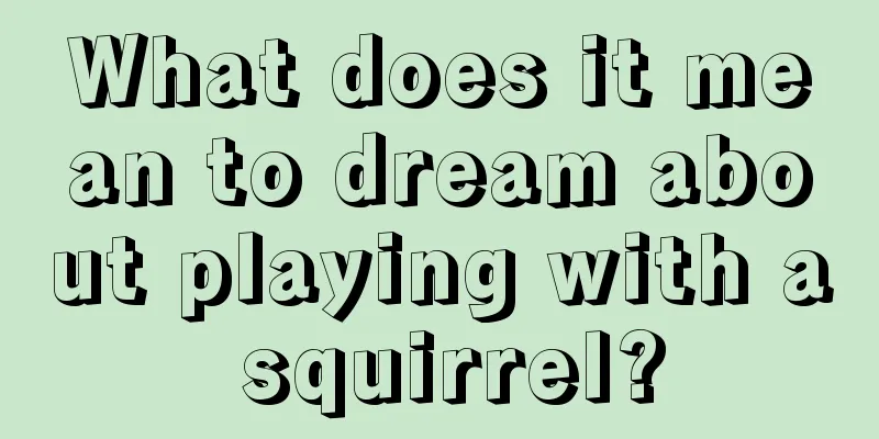 What does it mean to dream about playing with a squirrel?