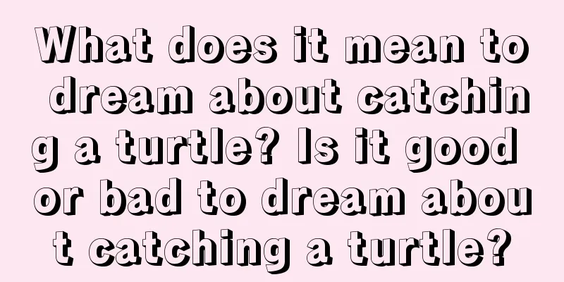 What does it mean to dream about catching a turtle? Is it good or bad to dream about catching a turtle?