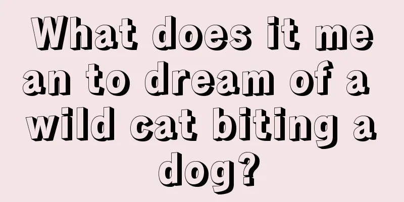 What does it mean to dream of a wild cat biting a dog?